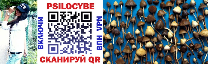 Псилоцибиновые грибы Cubensis  цена   Питкяранта 